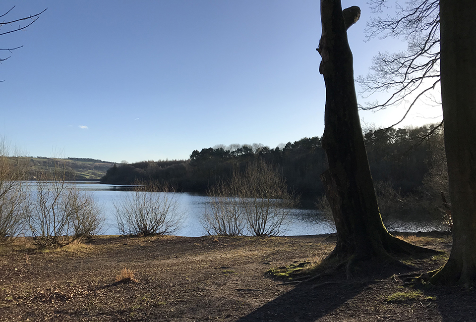 Swinsty Reservoir 