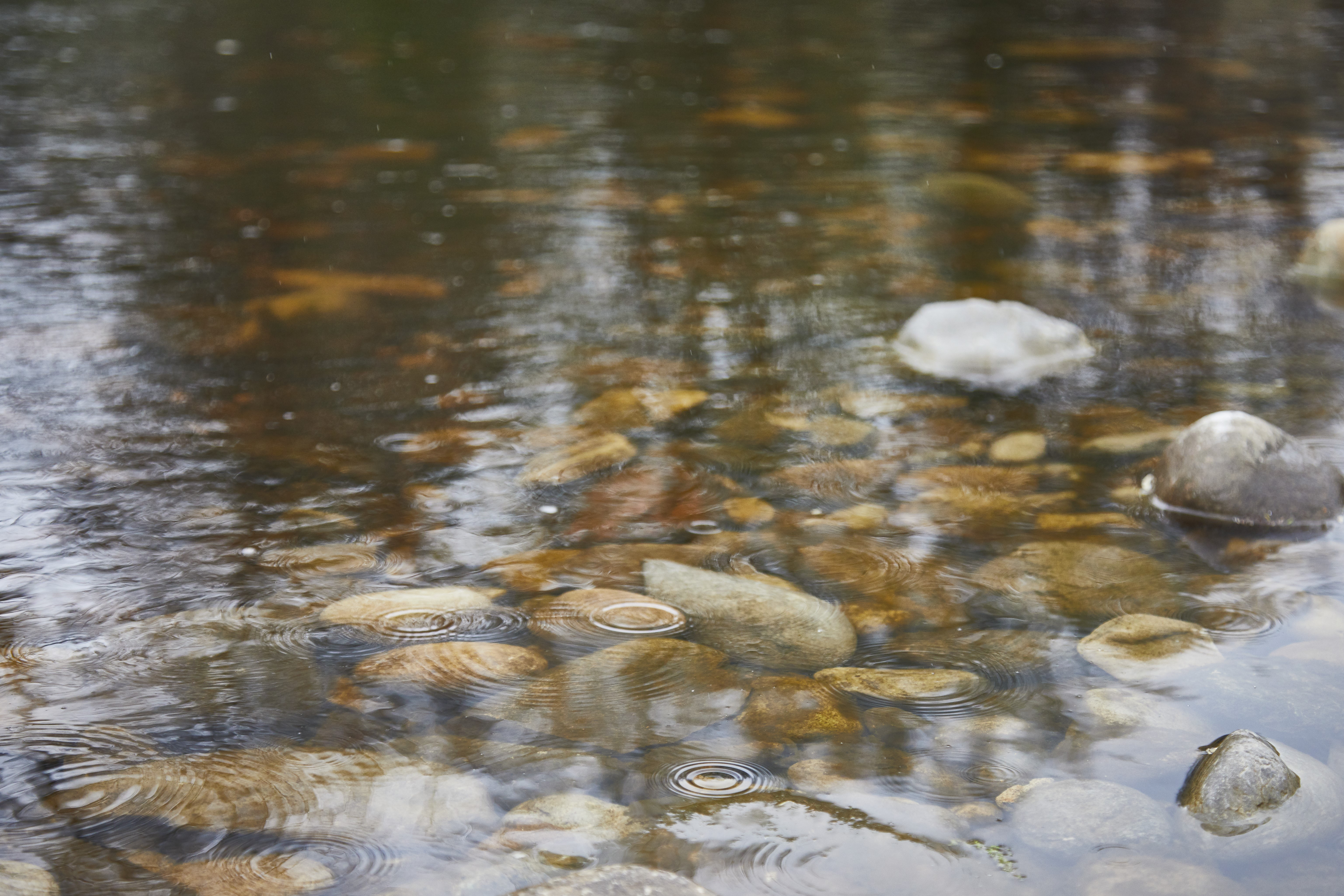 open river and waterway