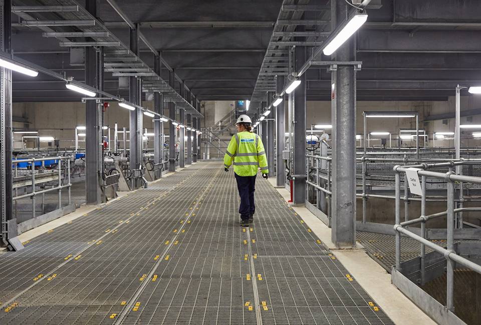 Yorkshire Water colleague at water treatment site