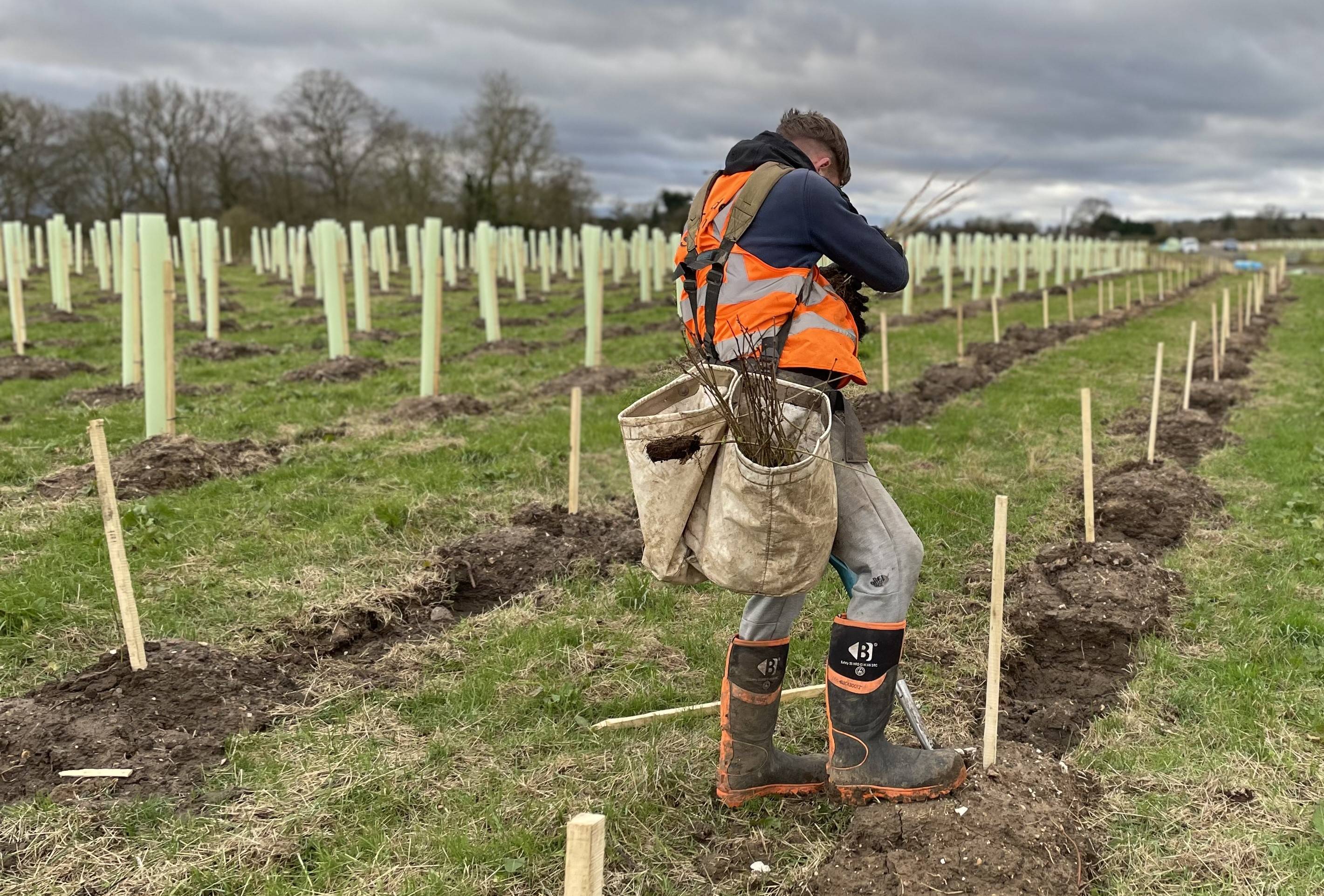 Volunteer planting trees at Cottingham