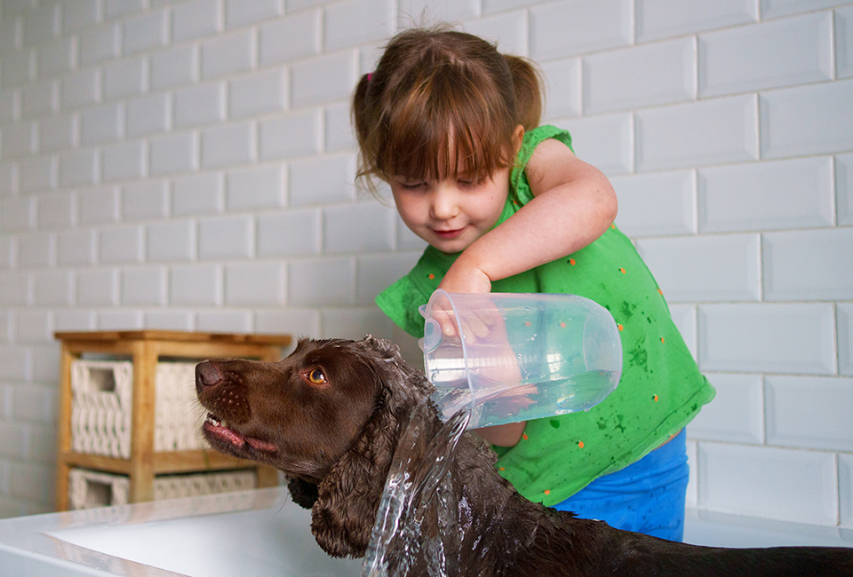 Child giving dog a bath