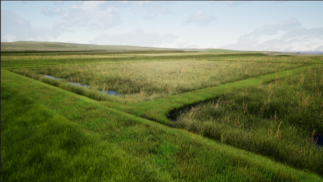 Artist's impression of planned wetland project