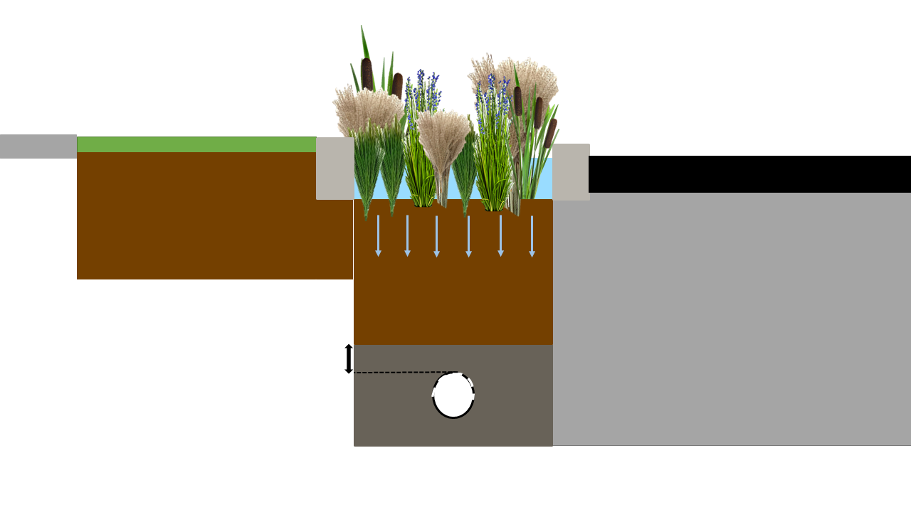 Bioretention strip explanation